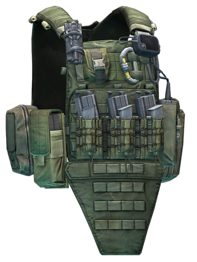 Crye Precision AVS Plattenträger (Rangergrün)