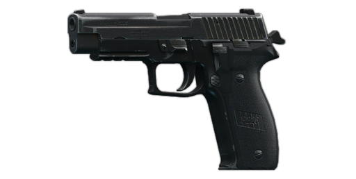 SIG P226R 9x19 권총 