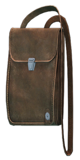 Documents case