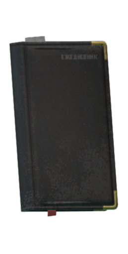 Diary
