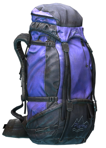 Pilgrim tourist backpack
