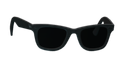 RayBench Hipster Reserve sunglasses