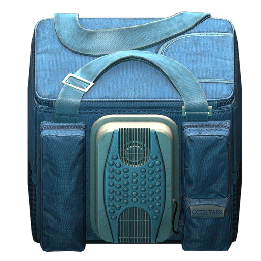 Mr. Holodilnick thermal bag