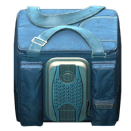 Mr. Holodilnick thermal bag