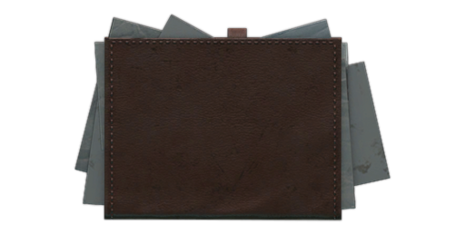 Intelligence folder