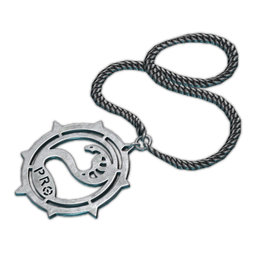 Chain with Prokill medallion