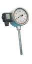Analog thermometer