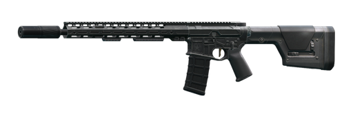 Lone Star TX-15 DML 5.56x45 carbine