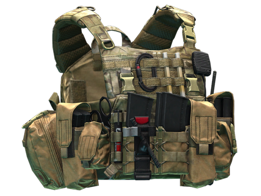 Ars Arma A18 Skanda 플레이트 캐리어 (MultiCam)