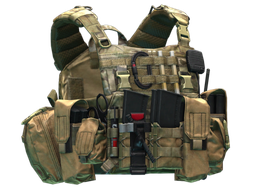 Ars Arma A18 Skanda plate carrier (MultiCam)