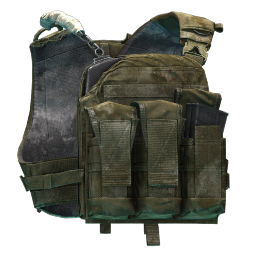 Plate carrier Crye Precision AVS (edycja Tagilla)