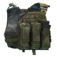 Crye Precision AVS plate carrier (Tagilla Edition)