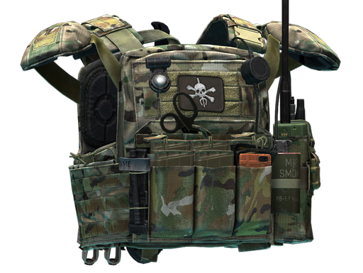 Crye Precision CPC plate carrier (Goons Edition)