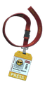 Press pass (issued for NoiceGuy)