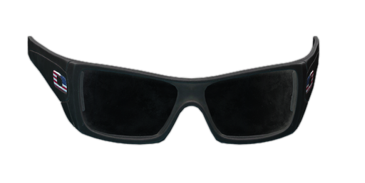 Oakley SI Batwolf glasses