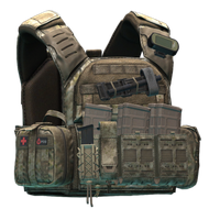 Shellback Tactical Banshee plate carrier (A-TACS AU)