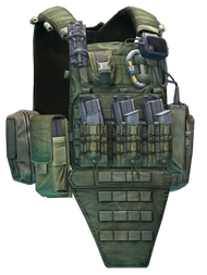Crye Precision AVS plate carrier (Ranger Green)