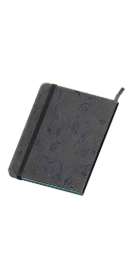 Programmer's diary (Copy)