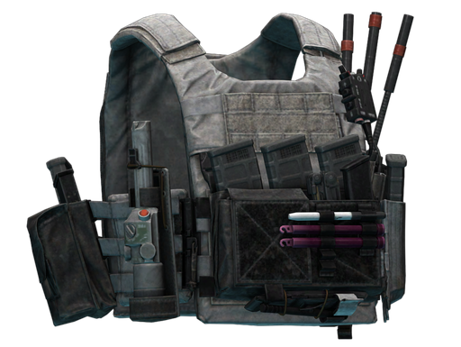 Spiritus Systems LV-119 Plate Carrier (Black Division V1)