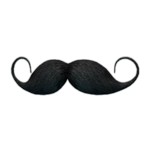 Hussar mustache