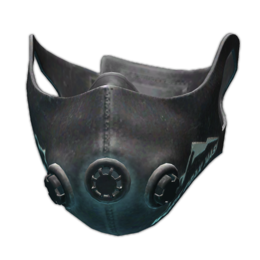 Work Peak training mask