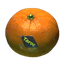 Tangerine
