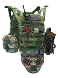 Tac-Kek JayPC plate carrier (OD Green)