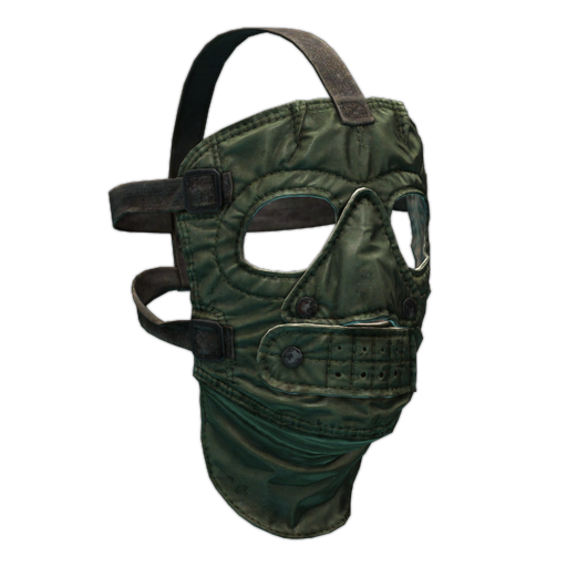 Extreme cold weather face mask