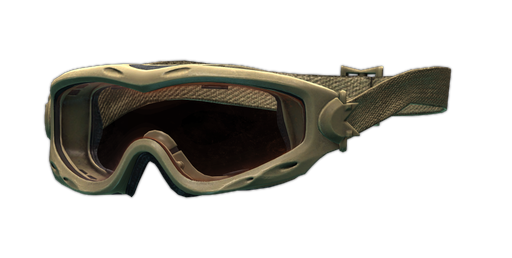 Wiley X SPEAR ballistic goggles (Tan)