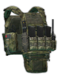 Stich Profi Plate Carrier V2 (A-TACS FG)