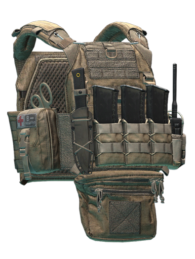 Colete Plate Carrier Stich Profi Plate Carrier V2 (Coyote)