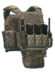 Stich Profi Plate Carrier V2 (Coyote)