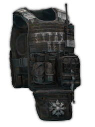 FORT Gladiator-S plate carrier (Viking)