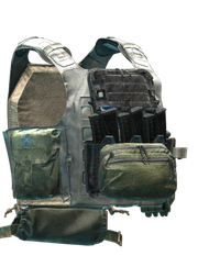 Blue Force Gear PLATEminus V2 Plate Carrier (Wolf Gray)
