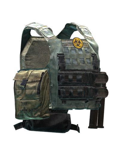 Blue Force Gear PLATEminus V2 Plate Carrier (Scourge)