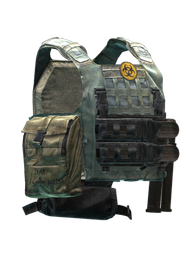 Blue Force Gear PLATEminus V2 Plate Carrier (Scourge)