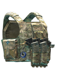 Blue Force Gear PLATEminus V2 Plate Carrier (MultiCam)