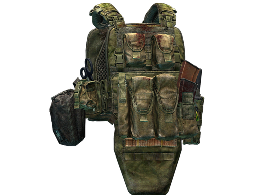 Stich Profi Stich Defense mod.2 plate carrier (A-TACS FG)