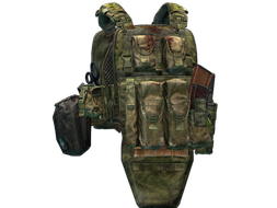 Stich Profi Stich Defense mod.2 plate carrier (A-TACS FG)